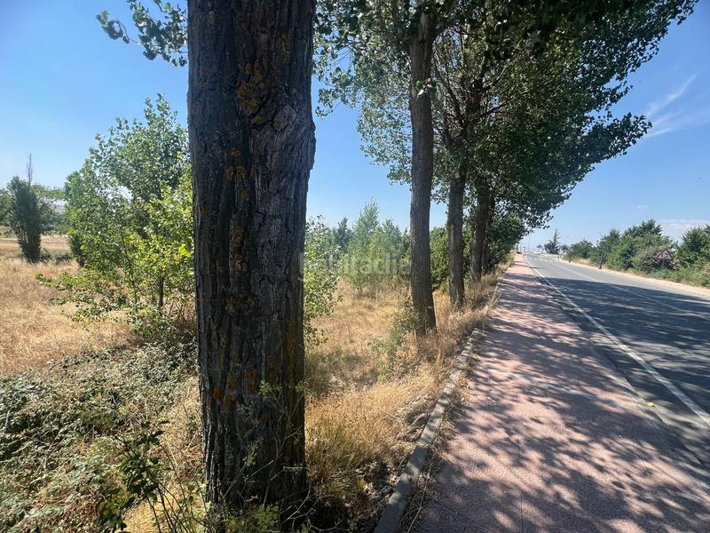 Foto cb68859c-36b9-4b47-bdb0-a326d4e400f3. Fondo rustico in Cuatro Postes Ávila