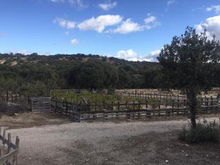 Propriété à N/a. Se vende dehesa en saornil de voltoya