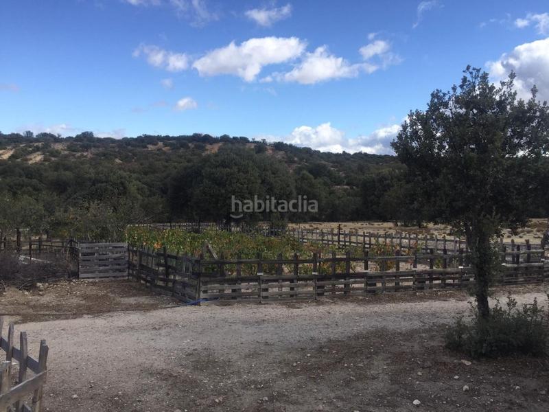 Foto 66a58430-0ac2-4049-9ffd-40ec3964c142. Finca rústica a lugar saornil 89 a Tolbaños