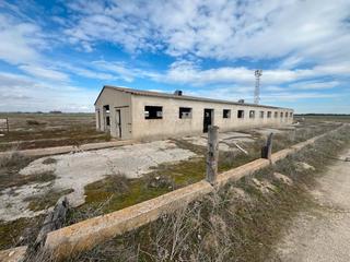 Fondo rustico  Vial camino. Terreno agrario e industrial en papatrigo