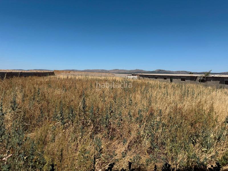 Foto 12973a53-0d9a-4b34-80b0-d10dde504619. Chalet  con parcela y naves en la torre en Torre (La)