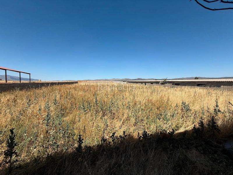 Foto abf51fea-95a1-405a-8b90-cf3359fe0f6d. Chalet  con parcela y naves en la torre en Torre (La)