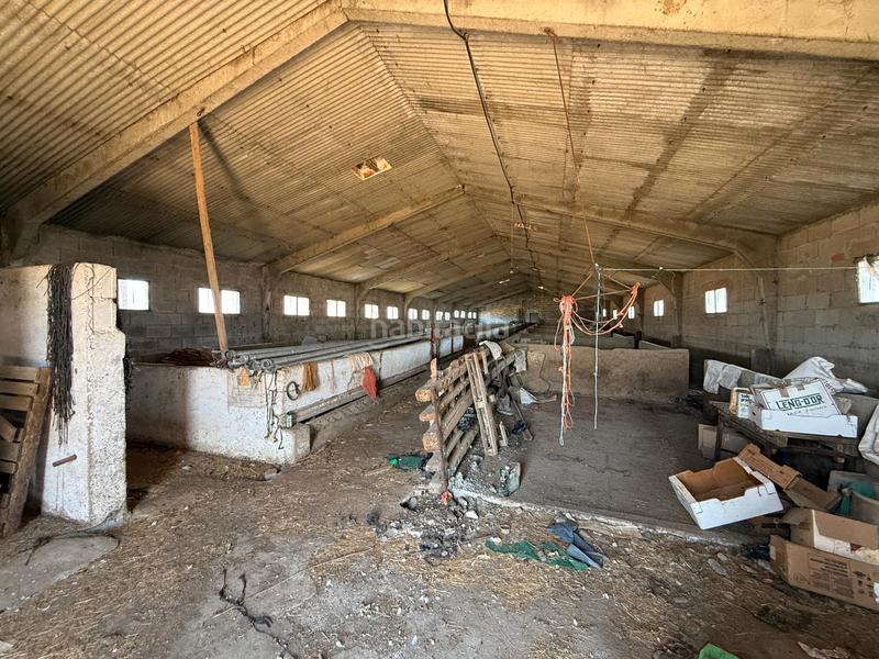 Foto c28a04a0-5bf0-407b-89d4-8e7404354559. Chalet  con parcela y naves en la torre en Torre (La)