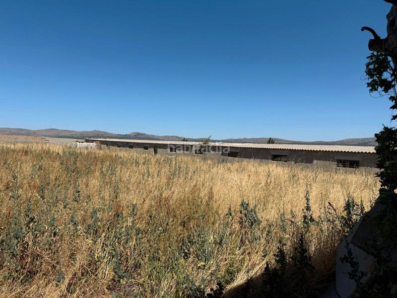 Foto c4a5c7b7-cbee-4fa7-a0b8-18edc7466abb. Chalet  con parcela y naves en la torre en Torre (La)