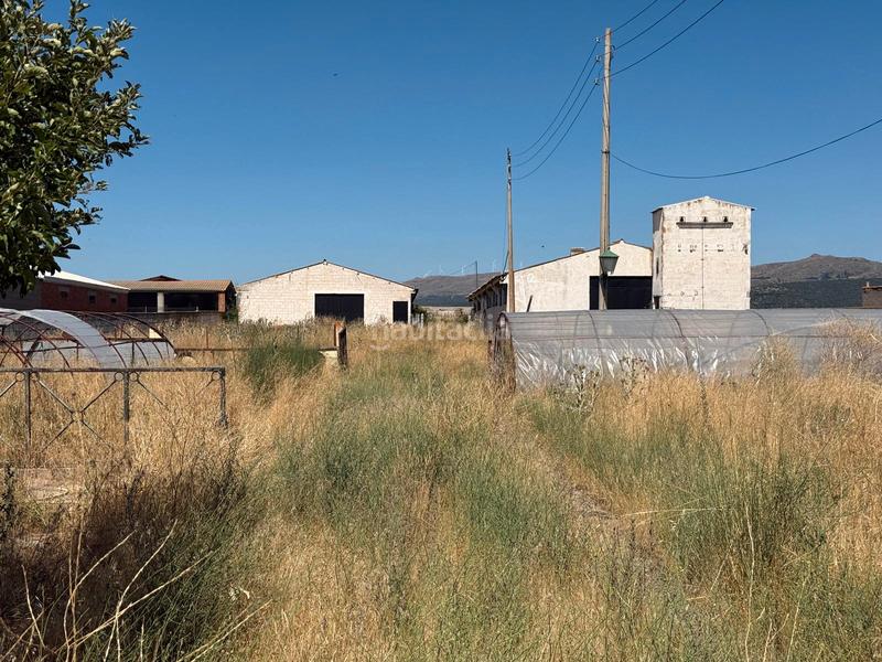 Foto e85cc880-d426-4d3d-b914-0e6ed170837d. Chalet  con parcela y naves en la torre en Torre (La)