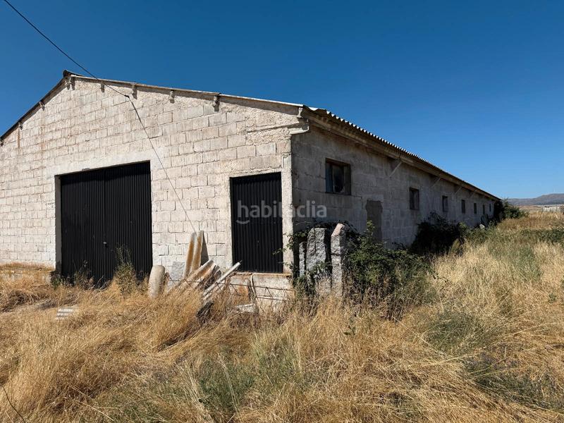 Foto f0fd9bff-d6de-47de-88bb-8b0863656bbe. Chalet  con parcela y naves en la torre en Torre (La)