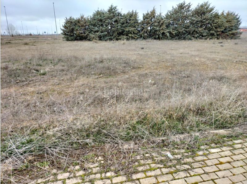 Foto ce1f5ab6-ac14-4859-aa31-c77568b99ed1. Terreny residencial a Sónsoles Ávila
