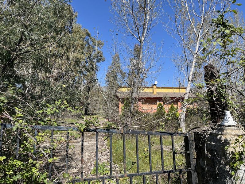 Foto 23e6342f-b18c-4f69-9a1b-4be55b1e5501. Finca rústica a Casavieja