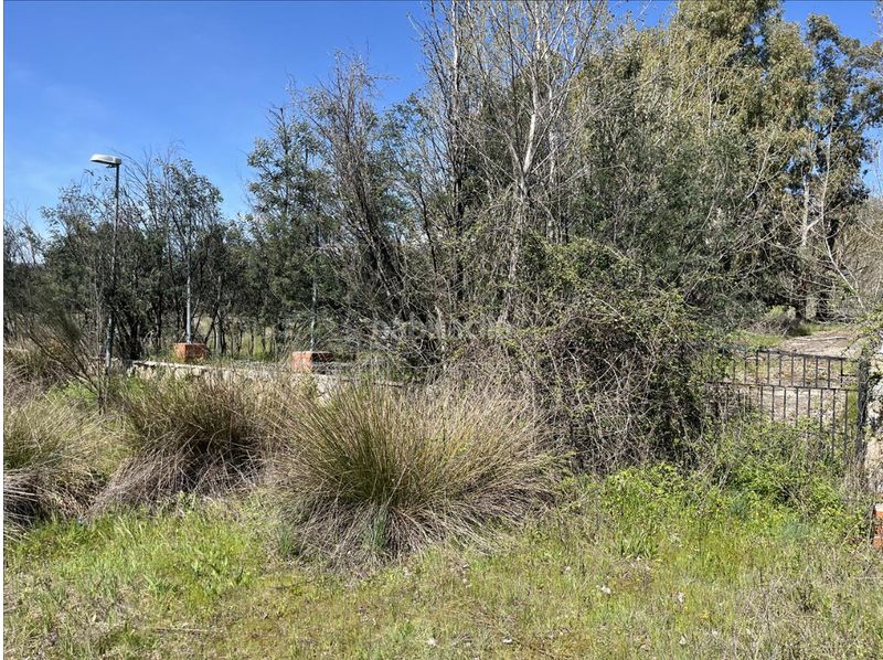 Foto 7b421769-0e47-43ae-a181-be7975abf531. Finca rústica a Casavieja