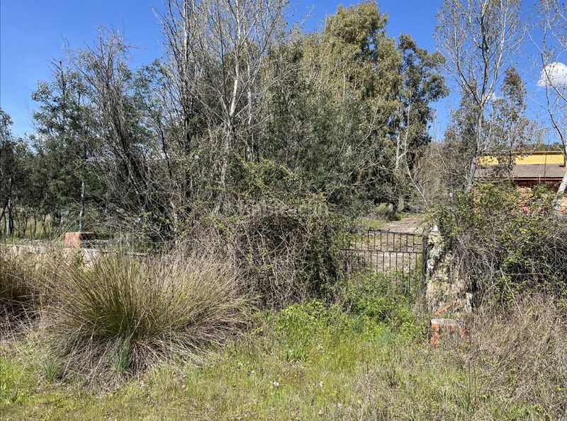 Foto 8392aec0-451c-45fb-b282-56f42cf8d591. Finca rústica a Casavieja