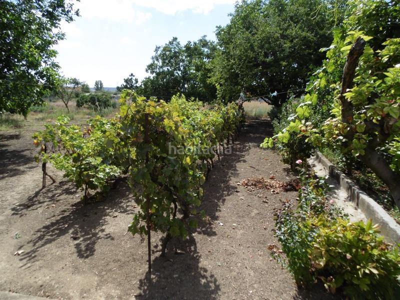 Foto 31c91da4-a000-40cd-8b55-fe8eb64f456b. Mas dans El Cristo Palencia