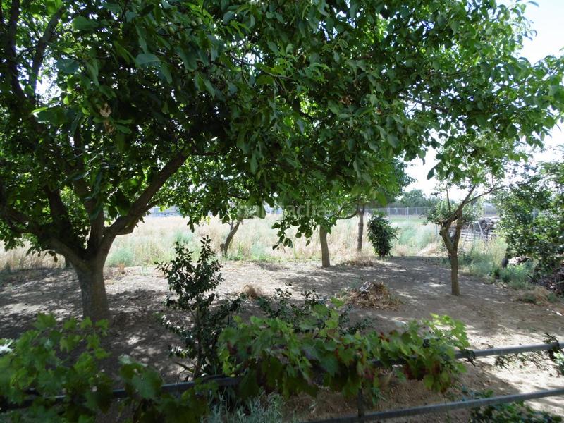 Foto 82f5ff15-3367-4c04-b2df-91a7f7f87d0c. Mas dans El Cristo Palencia