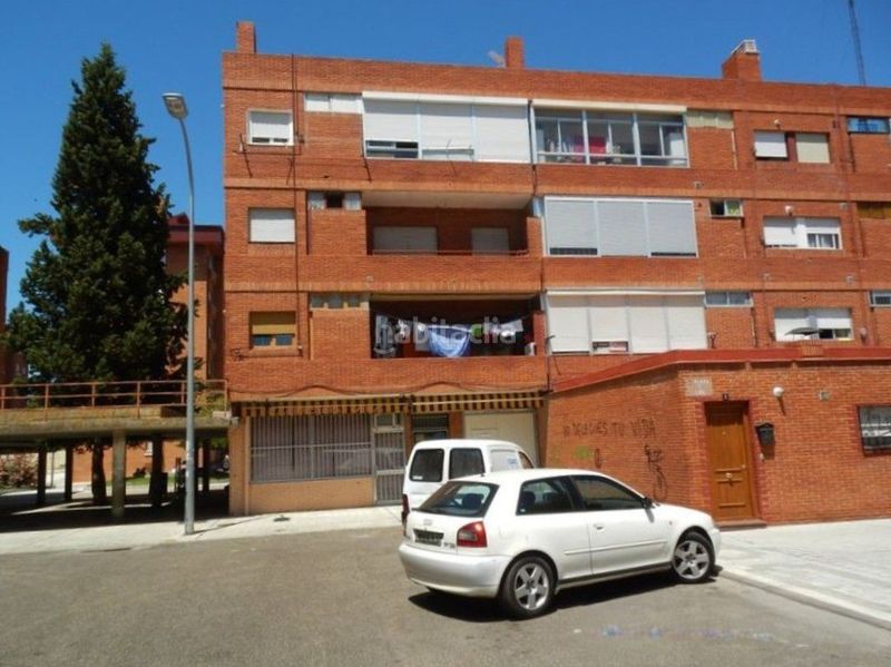 Foto 0f37376a-401c-4652-9669-bebd6bb50ff4. Pis a Pan y Guindas Palencia