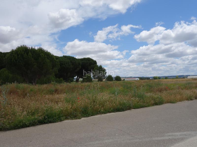 Foto 68d27867-8dd8-4569-b5ba-7f9629e0a1d0. Finca rústica a Alcazarén