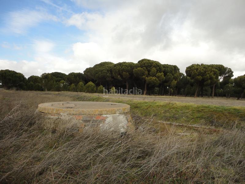 Foto 9bbe0a80-ea2d-4e56-a23c-9e05f2d40b31. Finca rústica a Alcazarén