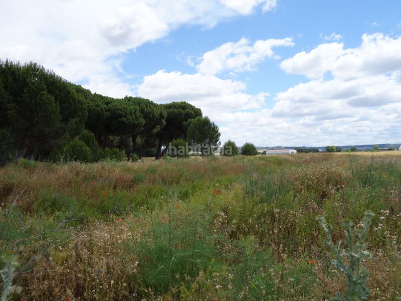 Foto b71bd2c6-2d20-4837-aed8-0cc57f6b588f. Finca rústica a Alcazarén