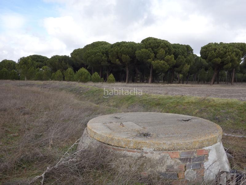 Foto eb070df0-3f02-43aa-ba17-30207be82f2c. Finca rústica a Alcazarén