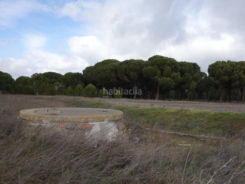 Foto f365f781-e3a2-4c30-87f7-a4b159afa934. Finca rústica a Alcazarén