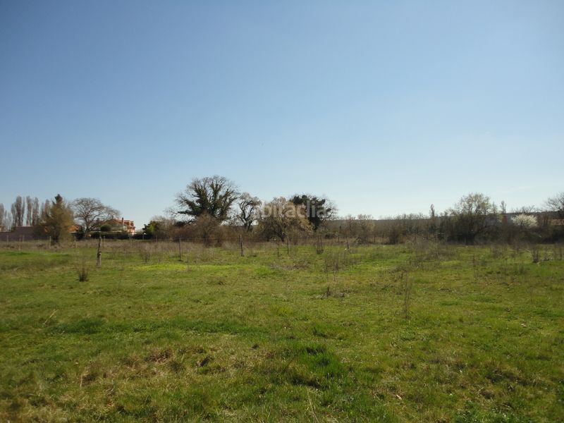 Foto 4c168a25-12e8-44ad-b7c9-6161a9a41245. Chalet en Polígono San Cristóbal Valladolid