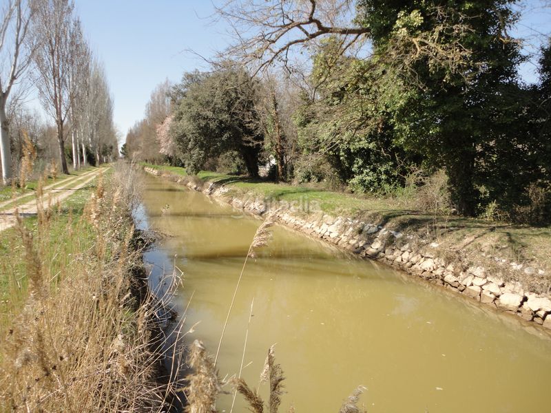 Foto 8c17bf5a-4d9a-4554-bff8-9d20ae4ef007. Chalet en Polígono San Cristóbal Valladolid