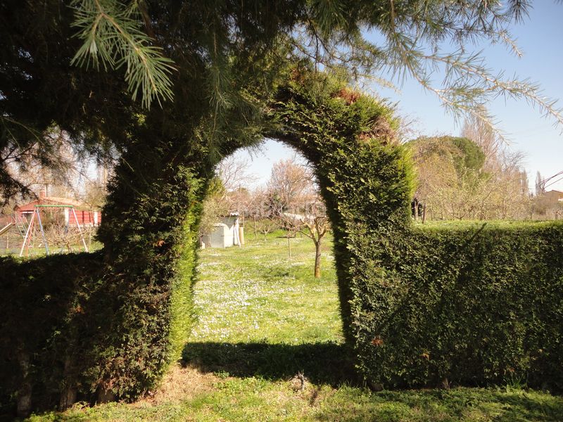 Foto fb664c4f-e54f-44d8-82f2-053ea6d5ce74. Chalet en Polígono San Cristóbal Valladolid