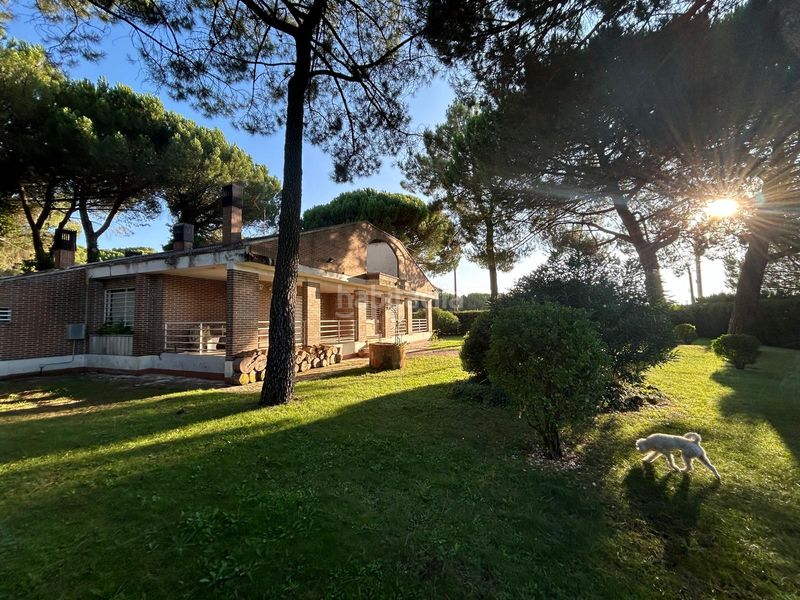 Foto 7ac140ed-2c19-449a-86ea-2ccbbddc5a15. Chalet en Pinar del Jalón Valladolid