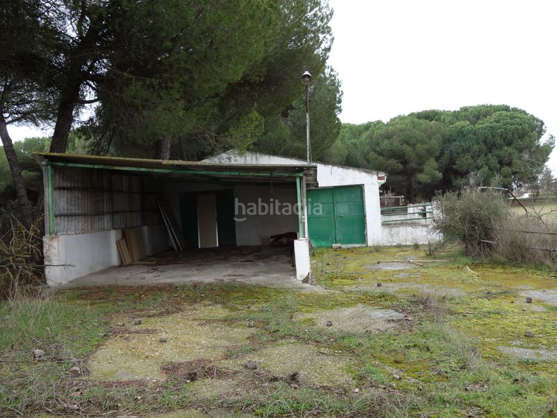Foto 0565b45b-6aed-41e7-862d-bc4da8ec6c1e. Finca rústica a Tudela de Duero