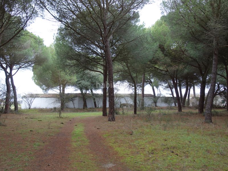 Foto 3908591d-ddaa-4add-b546-1e8fbe9980ef. Finca rústica a Tudela de Duero