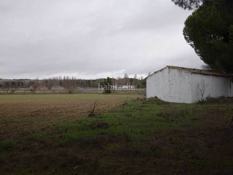 Foto 47eabf83-e3ce-40b8-b0e2-7f4d7d70bae0. Finca rústica a Tudela de Duero
