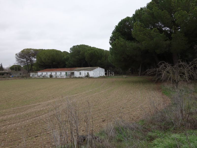 Foto 61f34be5-6112-4470-a077-a5b18f5be872. Finca rústica a Tudela de Duero