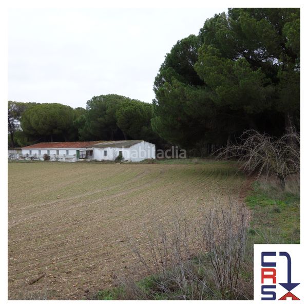 Foto 943eb83a-5620-4d53-a637-1383f1cf49d8. Finca rústica a Tudela de Duero