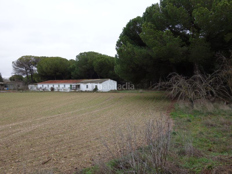 Foto 9a35949c-04ca-4bd3-a094-dddebe9c4a83. Finca rústica a Tudela de Duero