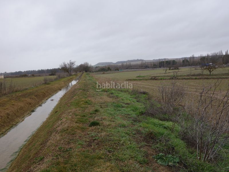 Foto a91f44aa-8384-469e-875e-919aa2a2ed86. Finca rústica a Tudela de Duero