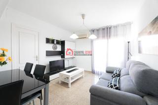 Lloguer Apartament a Malva Rosa