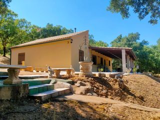 Affitto Casa in Fuencaliente