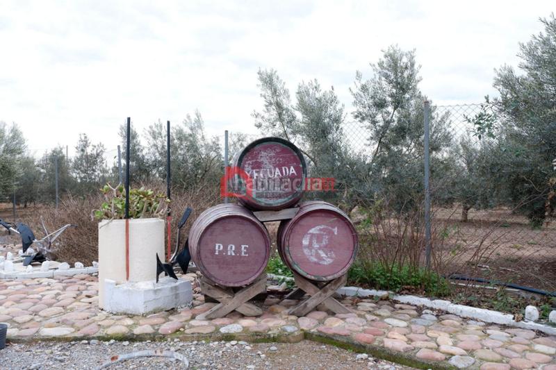 Foto d3402b81-0f16-496b-a497-bad843e31b13. Xalet amb aparcament piscina a Corinto-Almardà Sagunt