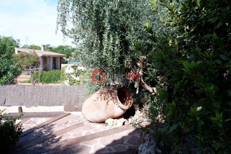 Foto 3c796cdd-9821-4dda-b653-9ef9190ffd80. Chalet avec chauffage parking piscine dans Los Pinares-La Masia Bétera