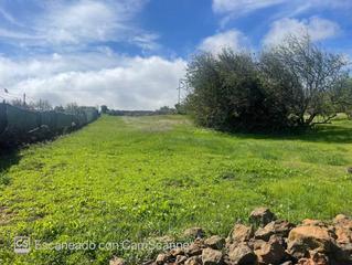 Terreny residencial a Calle pinito 35. Venta de terreno rústico en pinalillo-llano del moro

amplio t