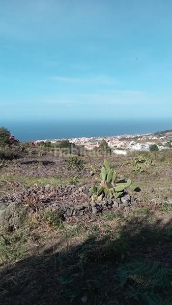 Foto c45c33cf-d1c5-4f67-8b36-bfc713429781. Wohngrundstück in camino el lance 54 in La Vega - El Amparo - Cueva del Viento Icod de los Vinos
