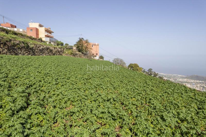 Foto 8691a7a8-85cd-42e8-9592-c3937543facf. Maison dans La Perdoma - San Antonio - Benijos Orotava (La)