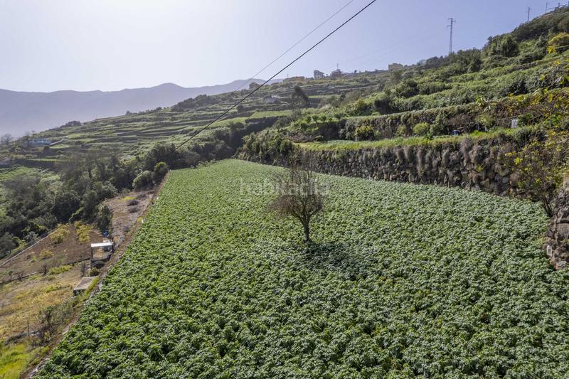 Foto ac8ac6ec-8565-480e-8b83-84390a7d6df0. Maison dans La Perdoma - San Antonio - Benijos Orotava (La)
