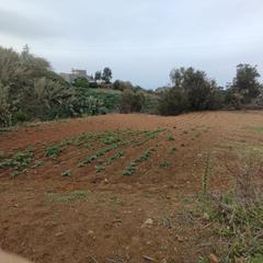 Residential Plot  Hoya de la viuda. Ravelo te ofrece tu espacio rural! venta de terreno rústico con