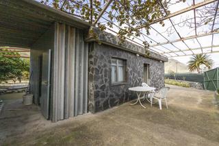 Casa  Los masapeses. Finca en buenavista del norte