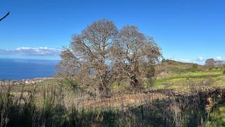 Wohngrundstück  Corraletes. Finca rustica en ravelo, el sauzal