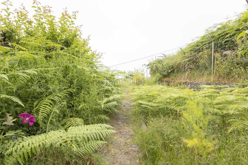 Foto 20e6b5b6-735c-4820-bf41-49dcce5d45bc. Casa in Palo Blanco Realejos (Los)