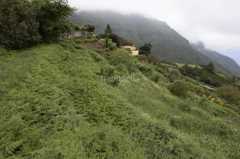 Foto 51b0b9c5-99c6-41aa-b776-255e12ae7d6a. Casa in Palo Blanco Realejos (Los)