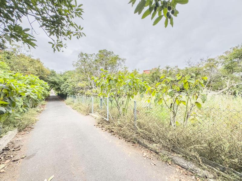 Foto 0c3c1792-5910-4fe7-86c1-118b3117e5e9. Casa in Montaña - Zamora Realejos (Los)