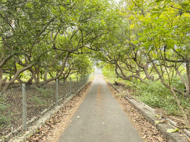 Foto 1054053d-827f-4cec-8e93-df42941c07f4. Casa in Montaña - Zamora Realejos (Los)