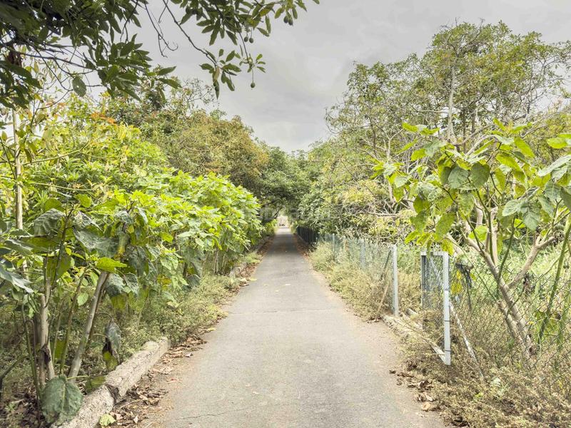 Foto 1520ce97-4016-4147-9142-ccfe9be72322. Casa in Montaña - Zamora Realejos (Los)