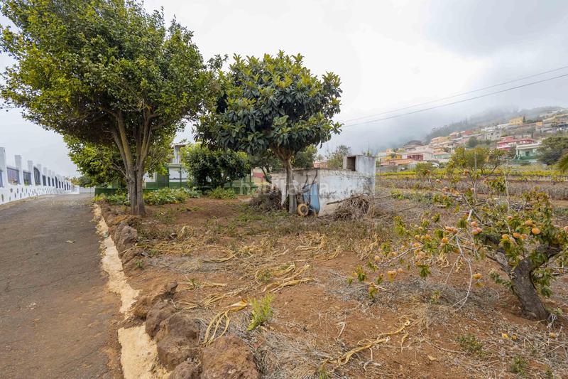 Foto 2398a430-cc88-4775-9d40-613693a01457. House in Vega Lagunera San Cristóbal de La Laguna